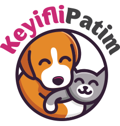 Keyifli Patim | Köpek Oteli | Köpek Pansiyonu | Pet Otel